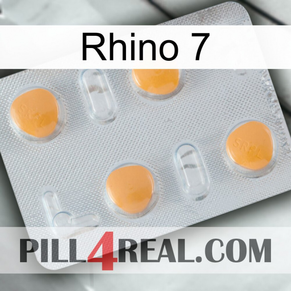 Rhino 7 24.jpg